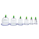 12-6Pcs-Vacuum-Cupping-Sets-with-Pumping-Gun-Suction-Cups-Back-Massage-Body-Cup-Detox-Anti-5