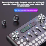 Portable-Audio-Mixer-New-Mobile-Dual-LiveBluetooth-Microphone-Personal-Entertainment-Streamer-Live-Broadcast-Computer-Soundcard-2